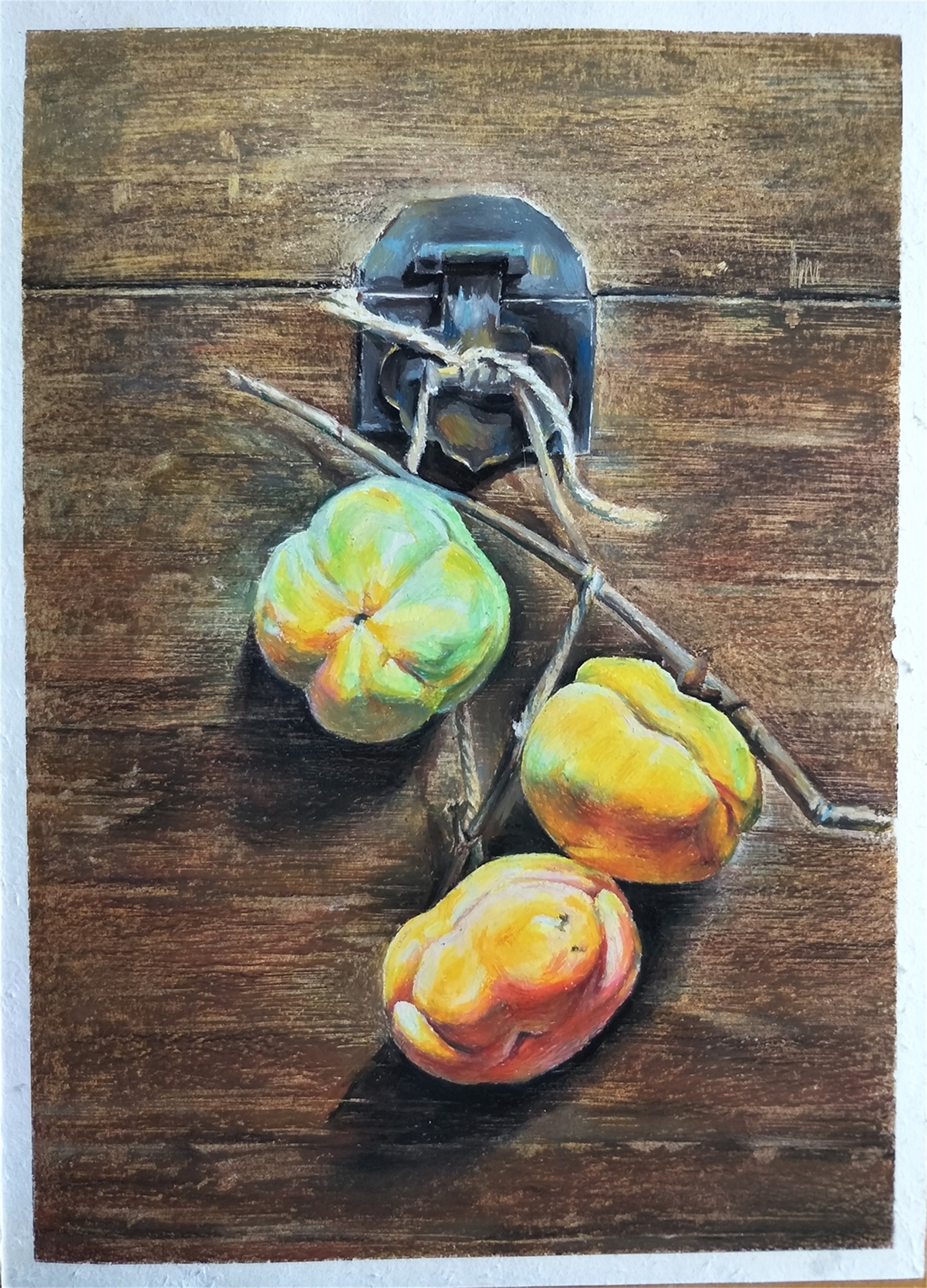 《柿子》-常州市-武进区礼嘉中学蒋敏芬