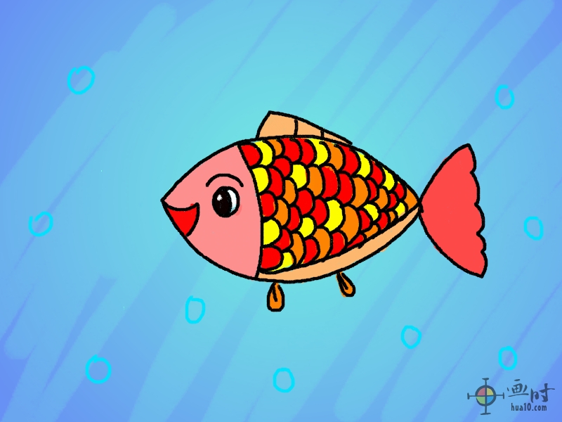 一只快乐的小鱼